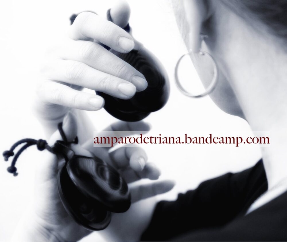 Bandcamp E1735228490721